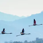 Δωμάτια σε οικογενειακή κατοικία Agora