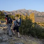 Agora