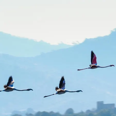 Séjour chez l'habitant Agora