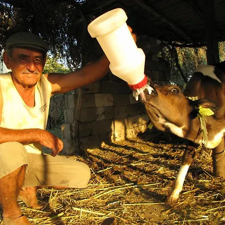 Agora Séjour chez l'habitant *