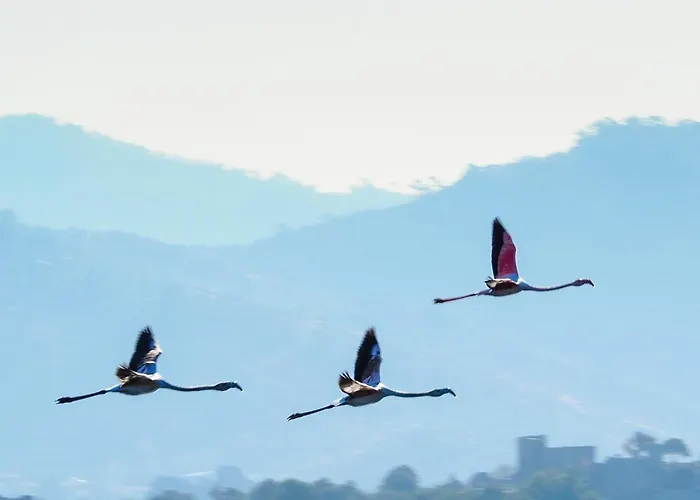 Δωμάτια σε οικογενειακή κατοικία Agora