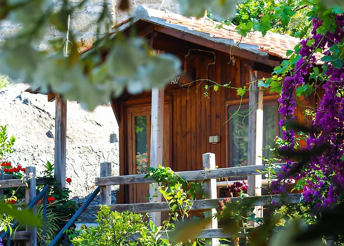 Agora Gazde/Camere de închiriat