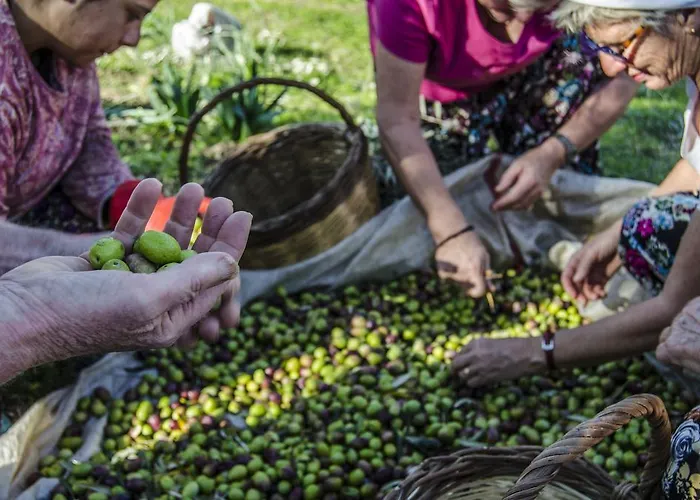 منزل للإقامة أغورا بانسيون كابيكيري