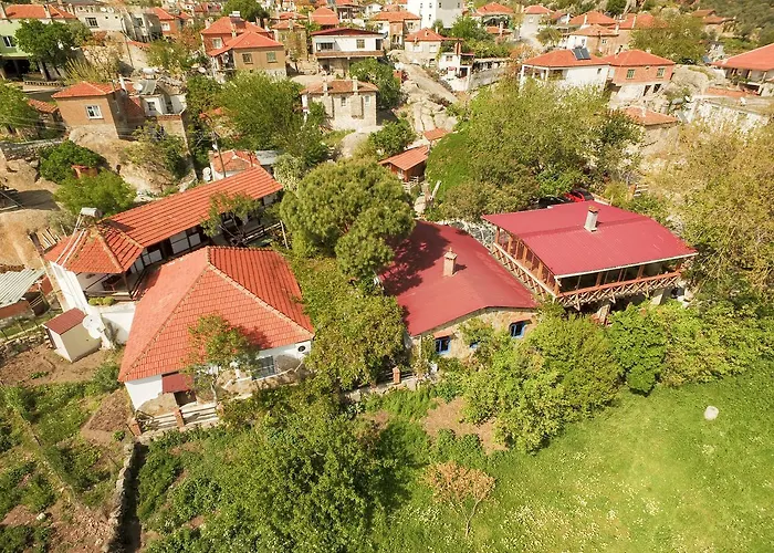 Agora Gazde/Camere de închiriat