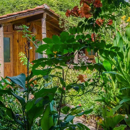 Проживание в семье Agora *