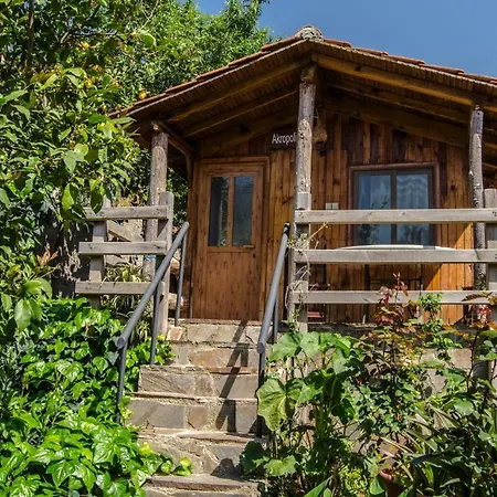 Agora Homestay szállás