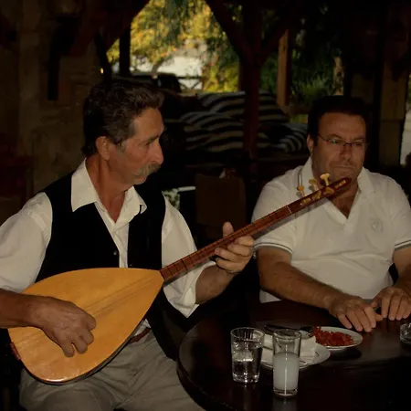 Проживание в семье Agora *