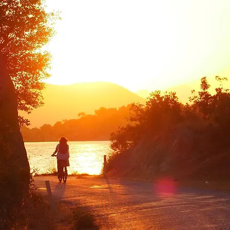 Agora Проживание в семье *