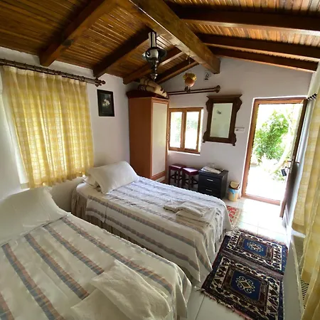 Homestay Agora