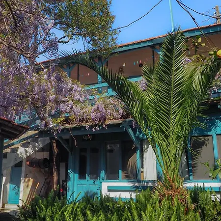 Проживание в семье Agora Капыкыры