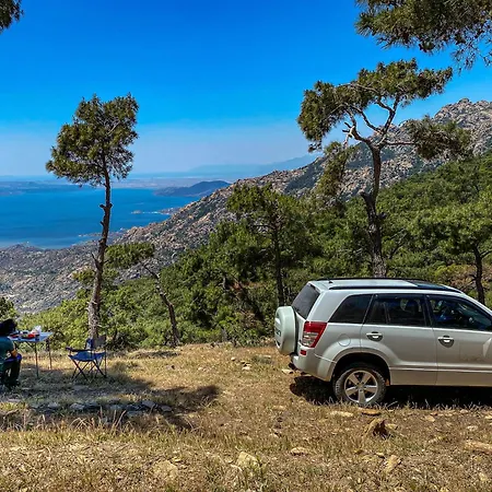 Проживание в семье Agora *