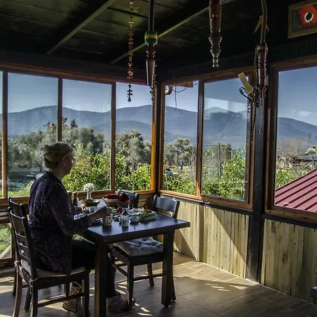 Agora * Капыкыры