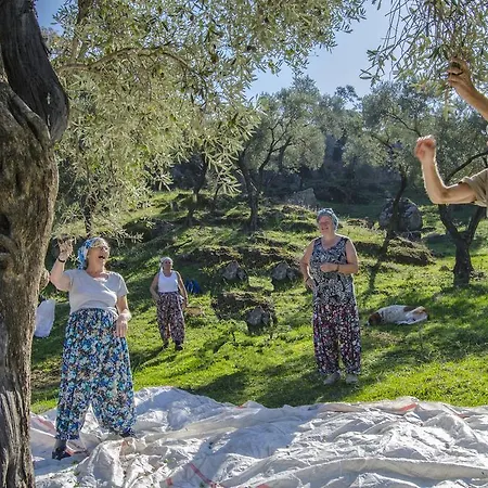 Agora Kapıkırı