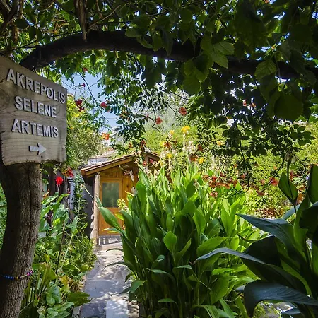 Séjour chez l'habitant Agora Kapikiri