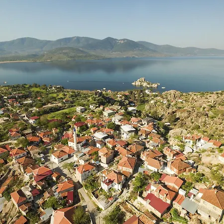 Проживание в семье Agora