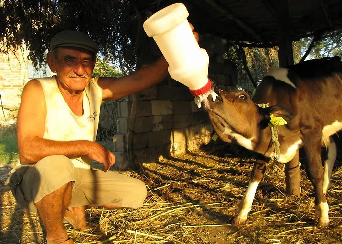 Agora Kwatera prywatna *